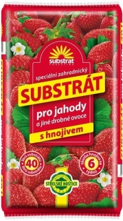 Substrát Forestina Jahody a jiné drobné ovoce 40l